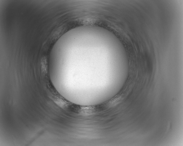 X0000073500240200608140916