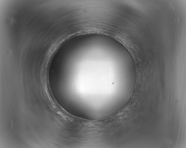 X0000073500241200608140915