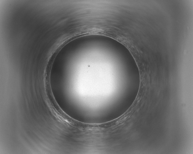 X0000073500242200608140915
