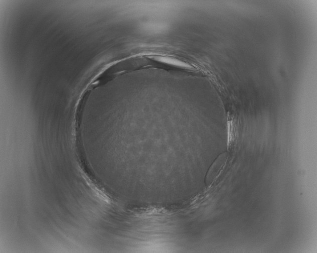 X0000073500243200608140915