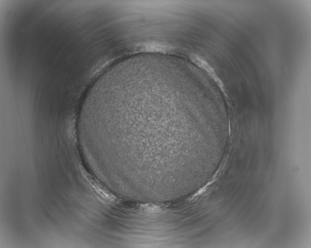 X0000073500249200608140915