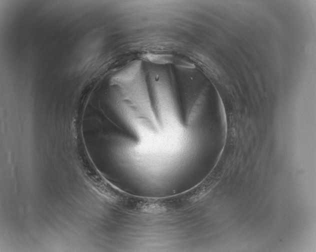 X0000073500258200608140916