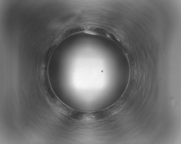 X0000073500263200608140916