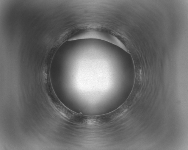 X0000073500264200608140916