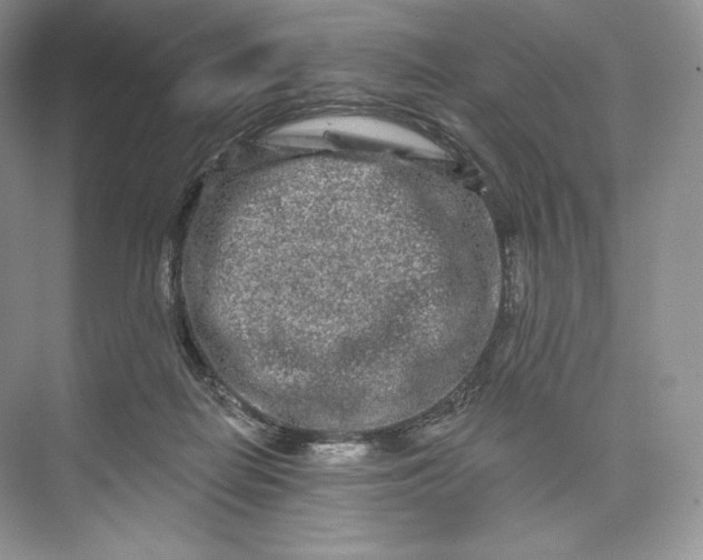 X0000073500266200608140916