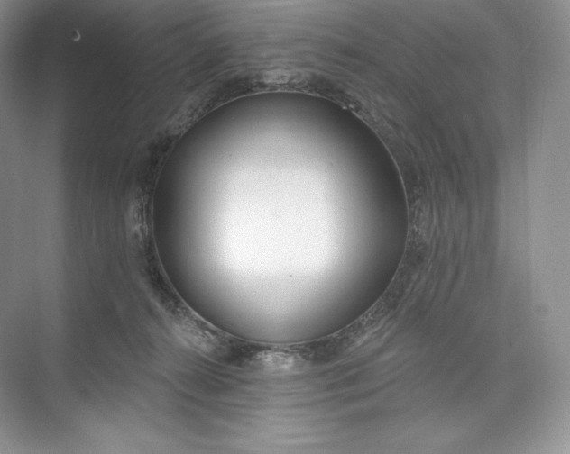 X0000073500272200608140916