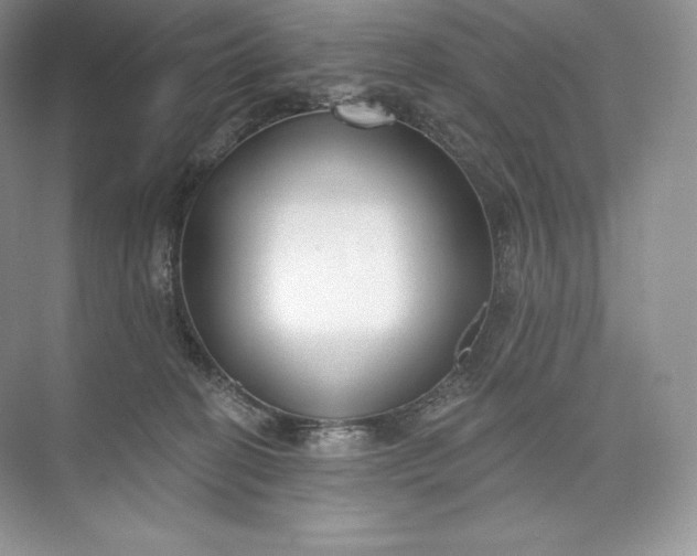 X0000073500274200608140916