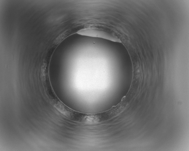 X0000073500275200608140916