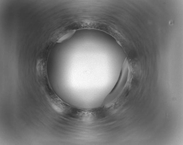 X0000073500276200608140916