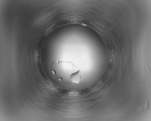 X0000073500279200608140916
