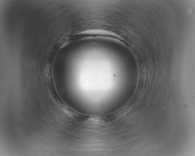 X0000073500280200608140916