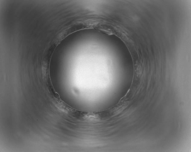 X0000073500283200608140916