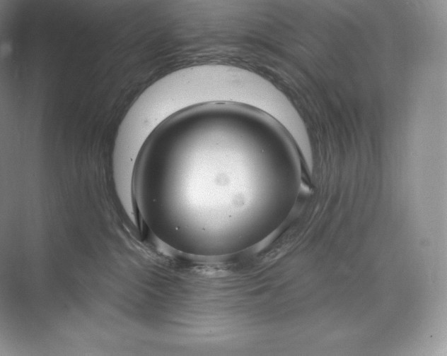 X0000073500284200608140916