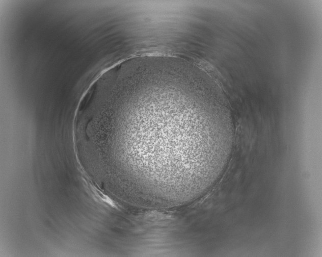 X0000073500290200608140915