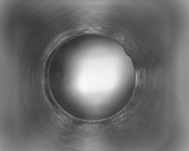 X0000073500291200608140915