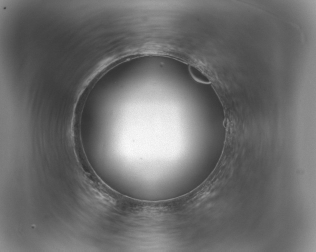 X0000073500292200608140915