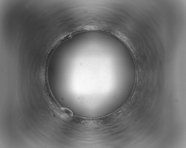 X0000073500297200608140915