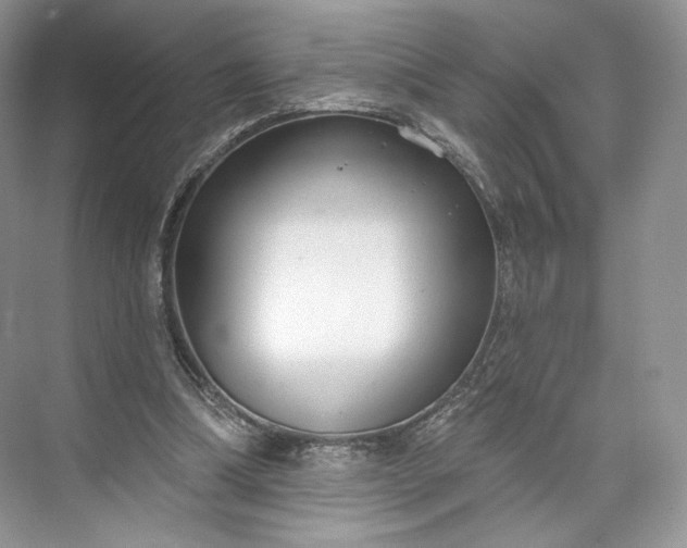 X0000073500298200608140915