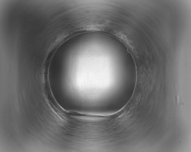 X0000073500299200608140915