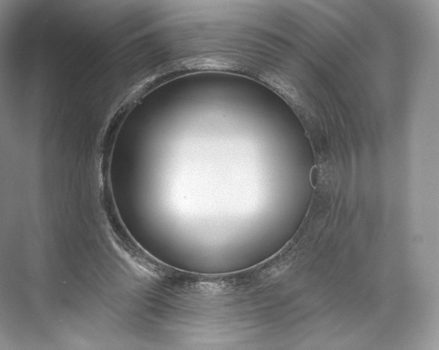 X0000073500302200608140915