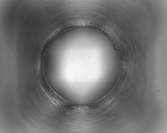 X0000073500304200608140915
