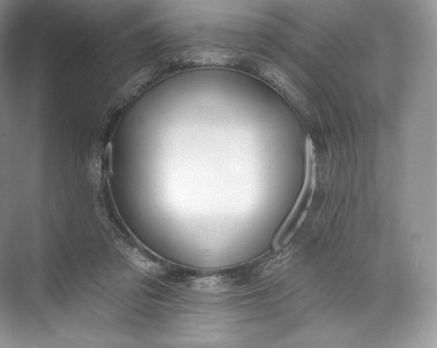 X0000073500309200608140915