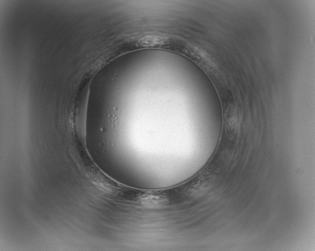 X0000073500315200608140915