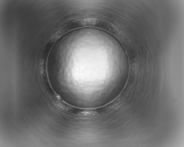 X0000073500323200608140915