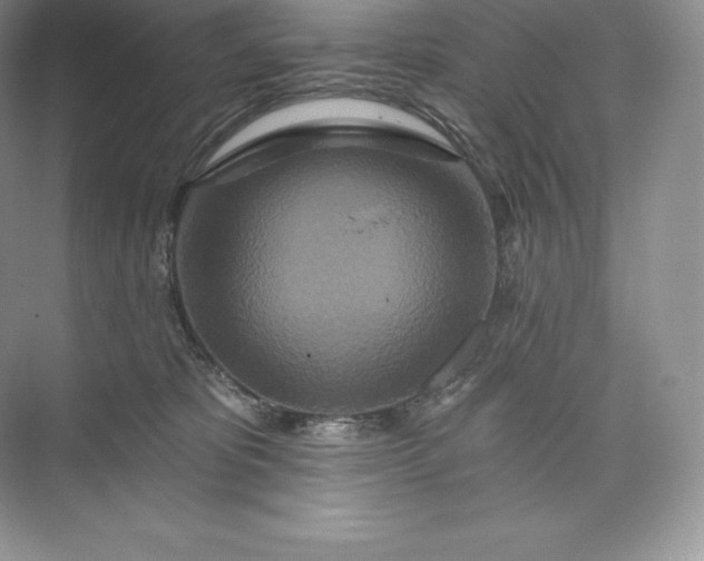 X0000073500325200608140915