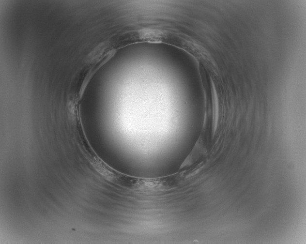 X0000073500329200608140915