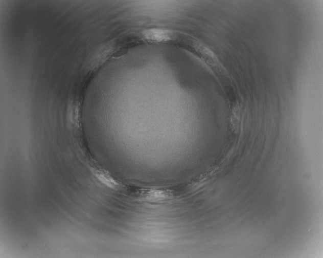 X0000073500330200608140915