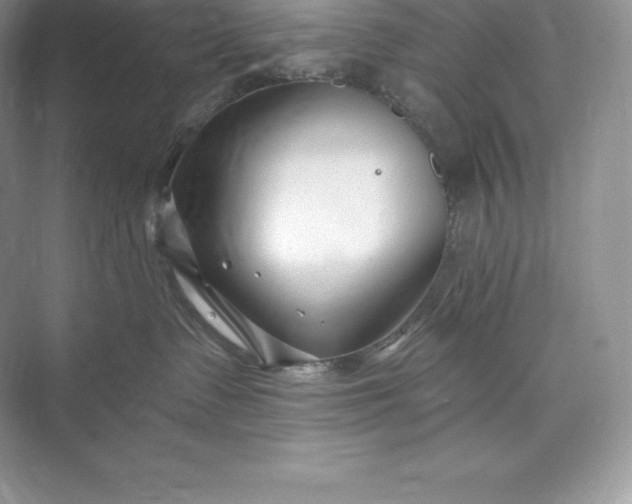 X0000073500335200608140915
