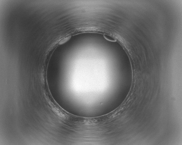X0000073500345200608140914