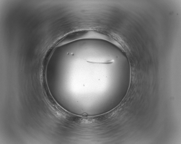 X0000073500346200608140914