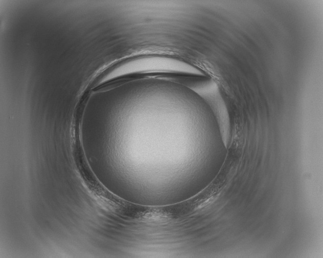 X0000073500348200608140914