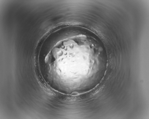 X0000073500351200608140914