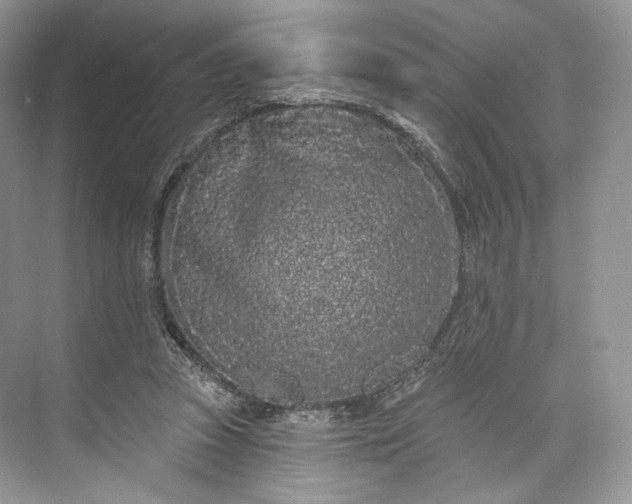 X0000073500353200608140914