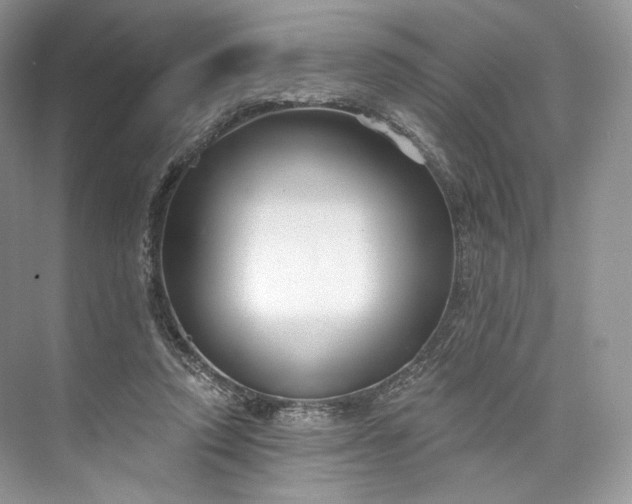 X0000073500354200608140914
