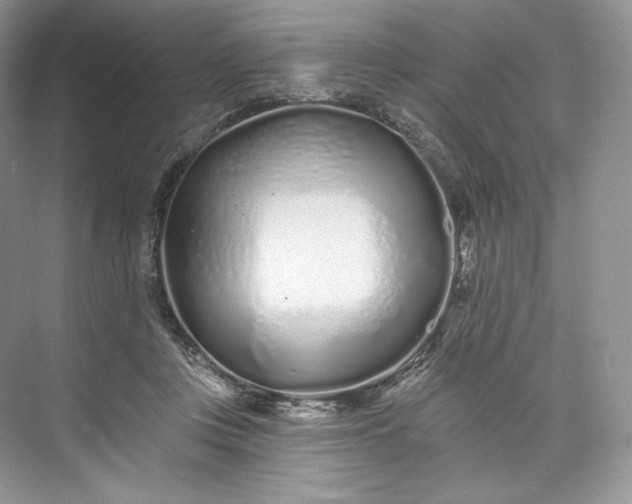 X0000073500359200608140914