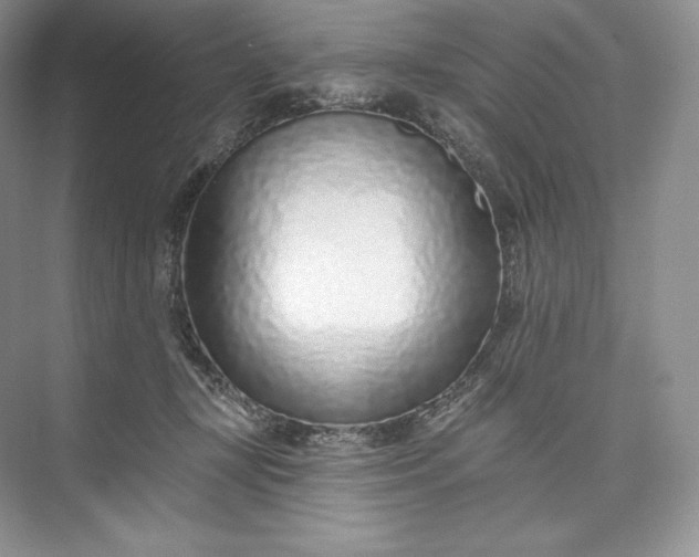 X0000073500367200608140914