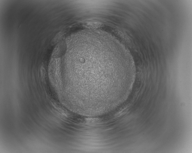 X0000073500371200608140914