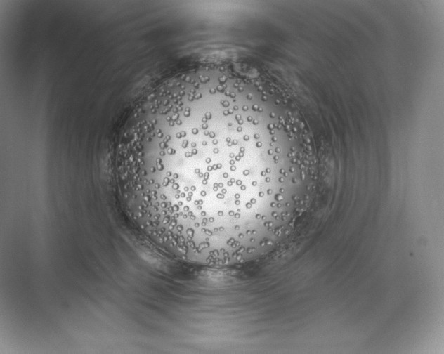 X0000073500375200608140914