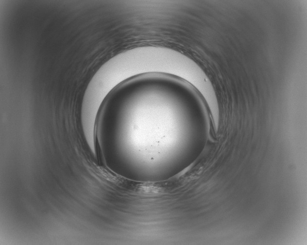 X0000073500376200608140914