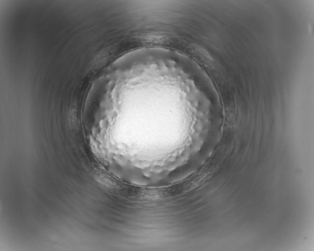 X0000073500377200608140914
