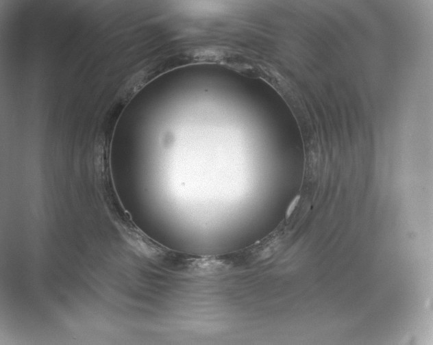 X0000073500379200608140914