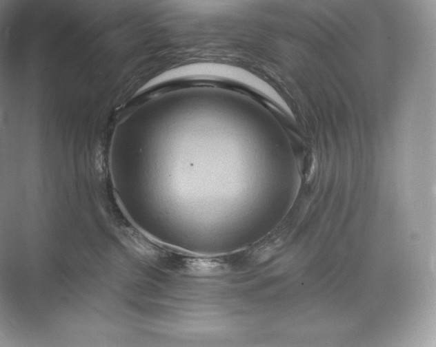 X0000073500380200608140914