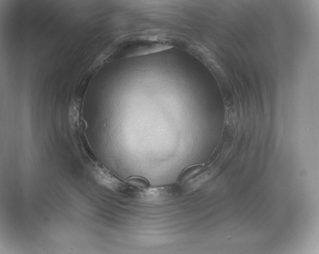 X0000073500382200608140914