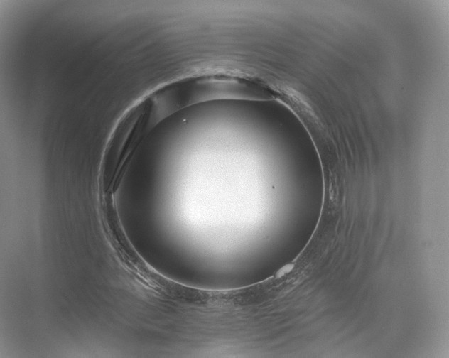 X0000073500388200608140914