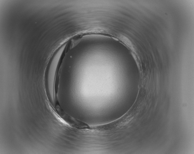 X0000073500389200608140914
