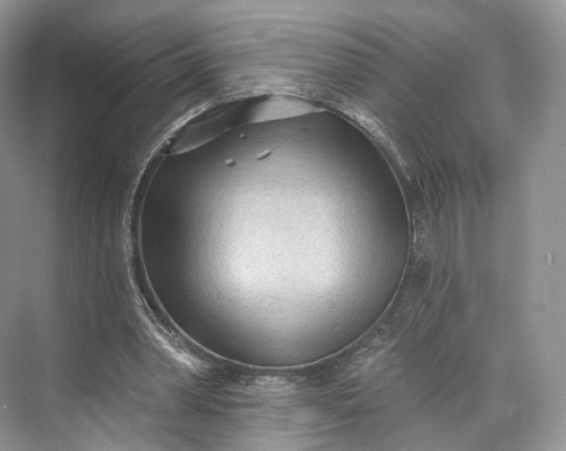 X0000073500390200608140914
